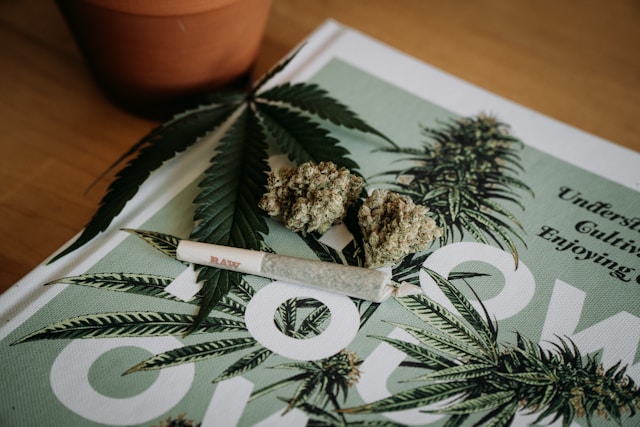 Joint